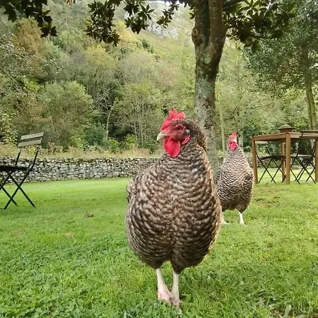 Bajo Tilos