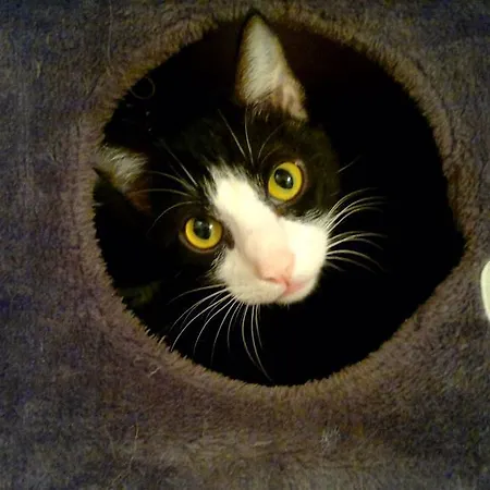 Landhuis Bajo Tilos *