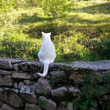 Bajo Tilos * Рибадеселья