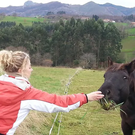 Летний дом Bajo Tilos *