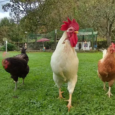 Bajo Tilos * Рибадеселья