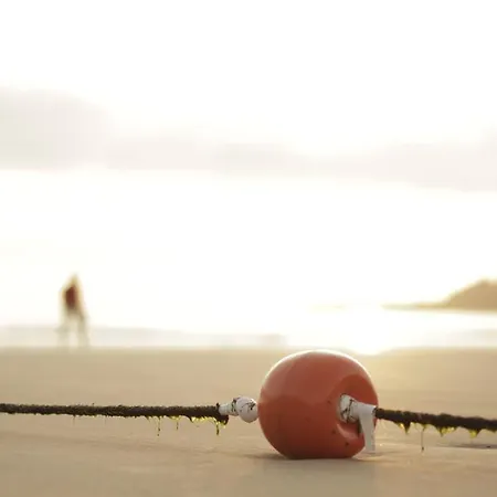 Bajo Tilos Рибадеселья