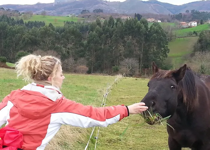 Country house Bajo Tilos *