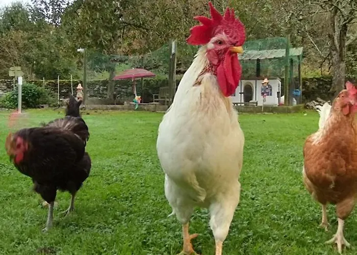 Bajo Tilos * Ribadesella