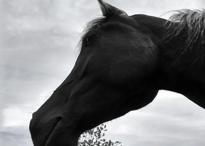 Country house Bajo Tilos