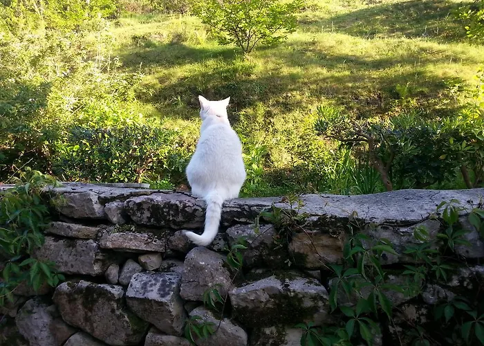 Bajo Tilos * Ribadesella