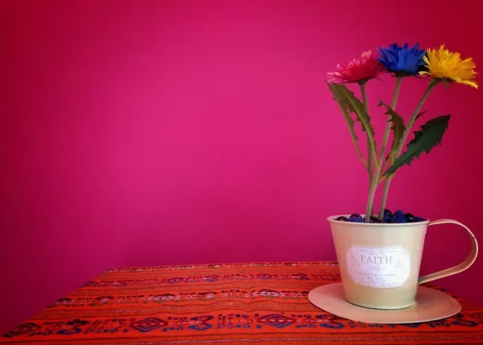 Landsted Bajo Tilos Ribadesella